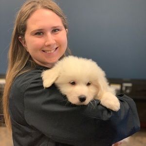 Meet your Posher, Meg